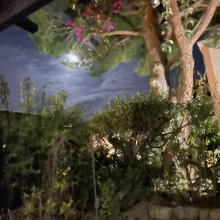 Studio Bandol Avec Jardin Extérieur photo