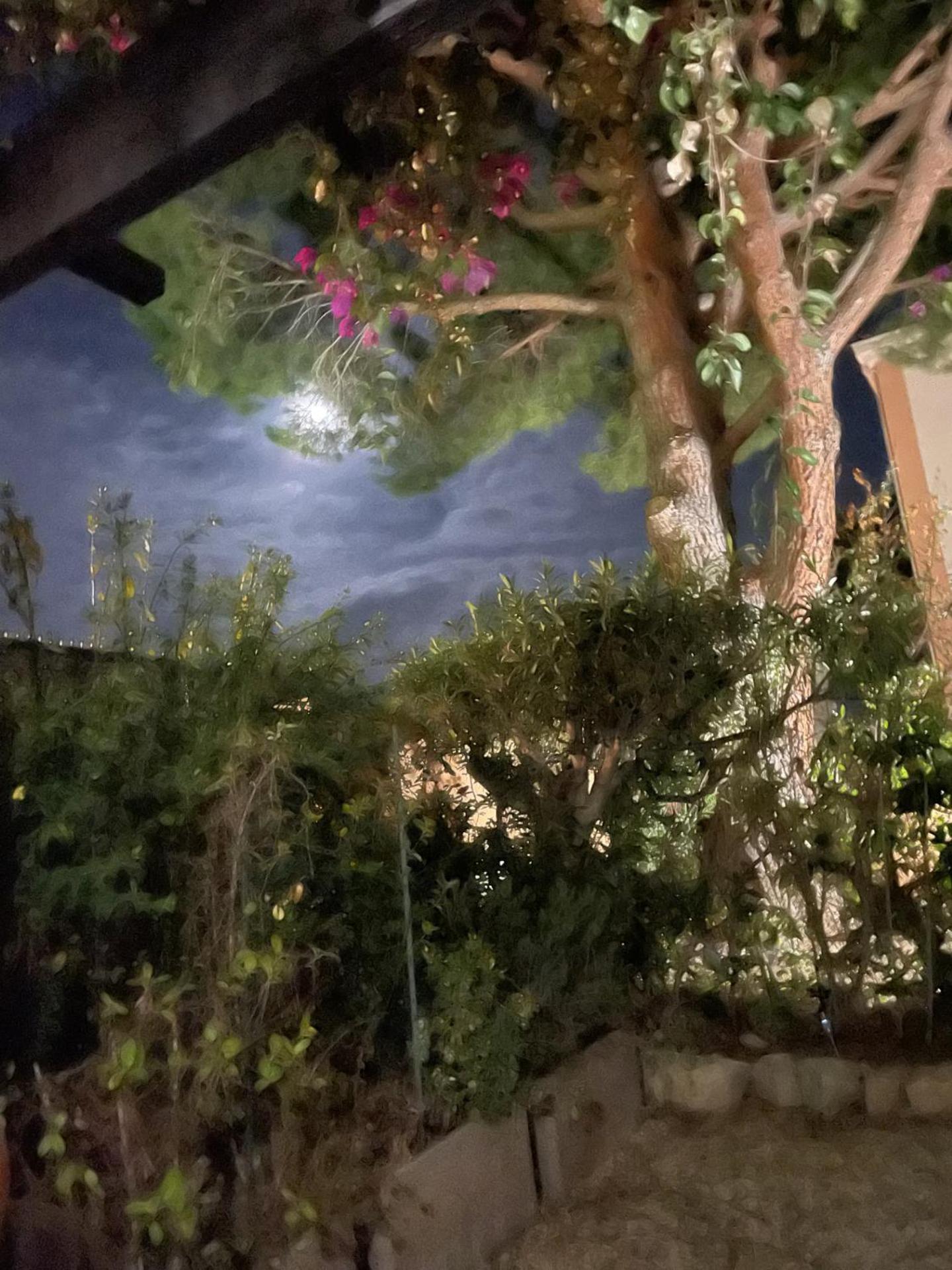 Studio Bandol Avec Jardin Extérieur photo